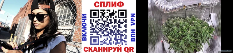 Шишки марихуана MAZAR  ссылка на мегу ТОР  Нея 
